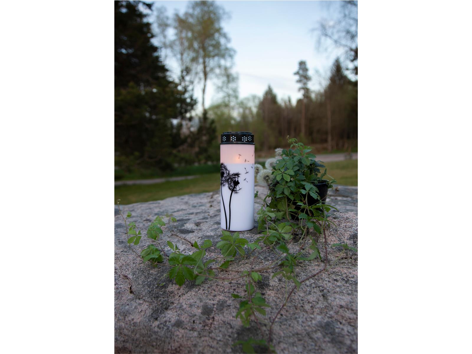 LED-Grablicht ''Dandelion'', weiß mit Pusteblumenmotiv, warmweiß, 21x7cm, outdoor