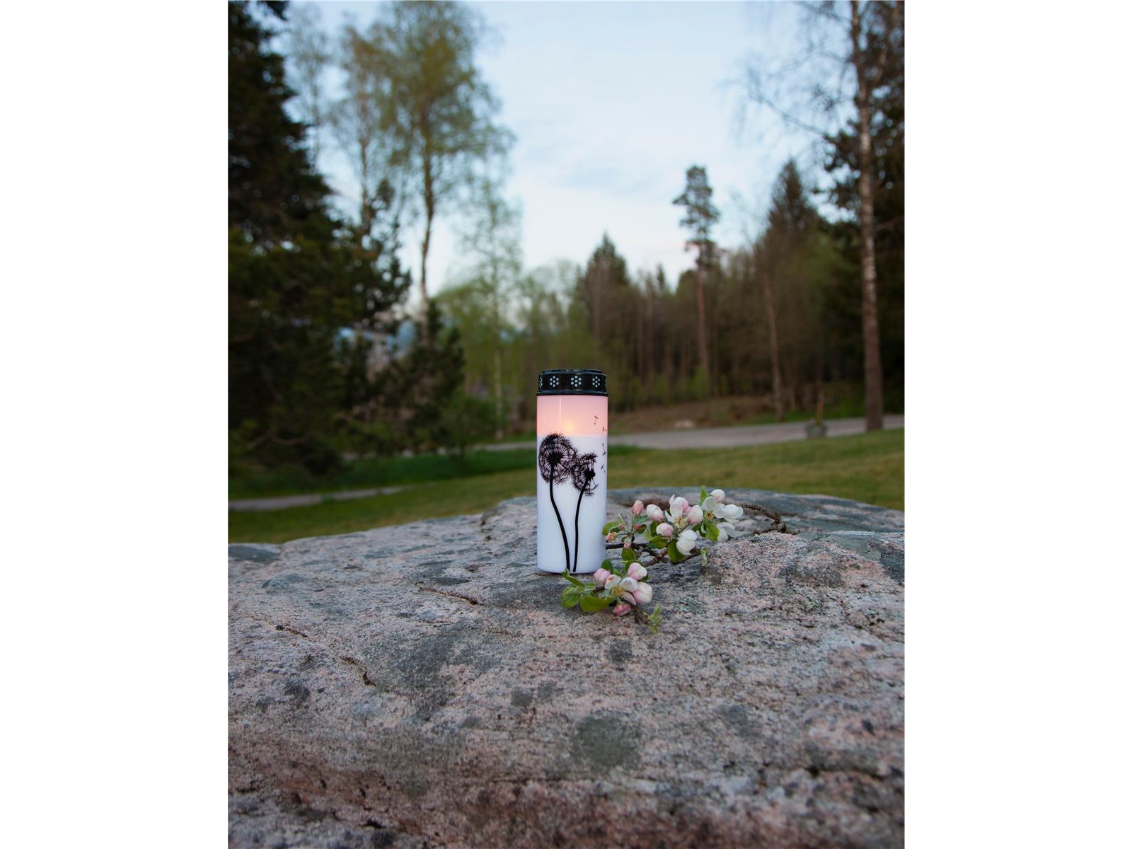 LED-Grablicht ''Dandelion'', weiß mit Pusteblumenmotiv, warmweiß, 21x7cm, outdoor