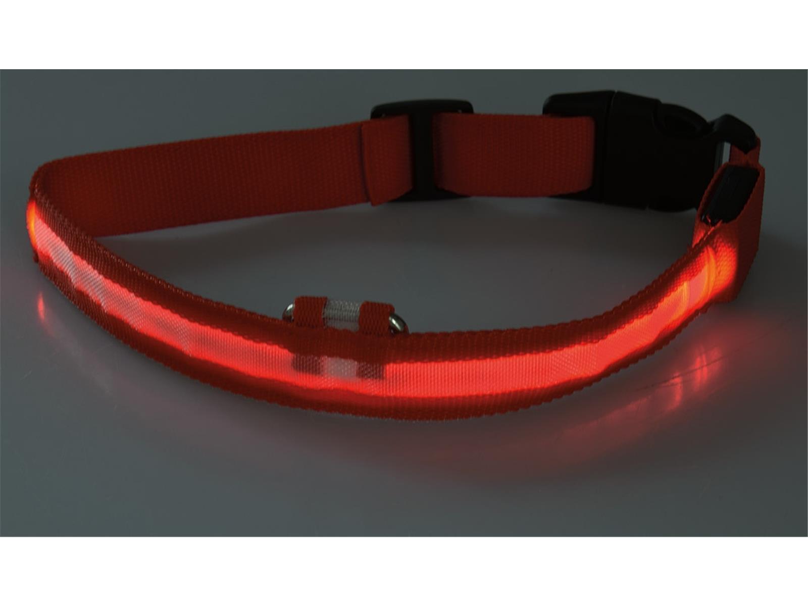 Hunde-Halsband leuchtend mit LED35-43cm, Größe M, rot