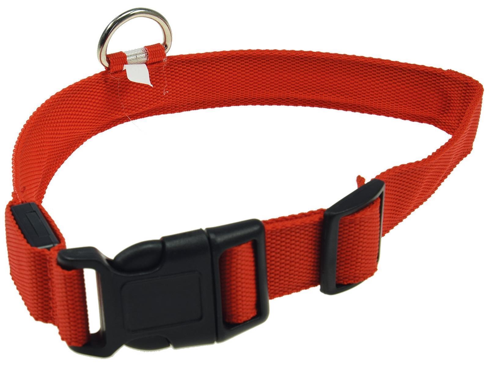 Hunde-Halsband leuchtend mit LED35-43cm, Größe M, rot